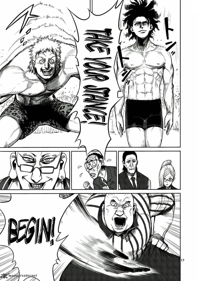 Page 17