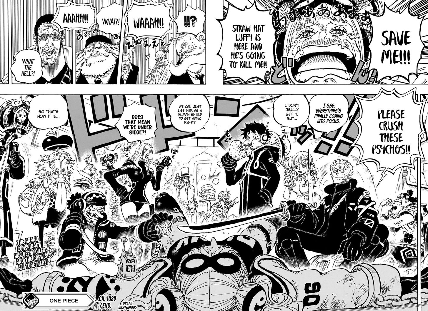 One Piece,chapter 1089 - Page