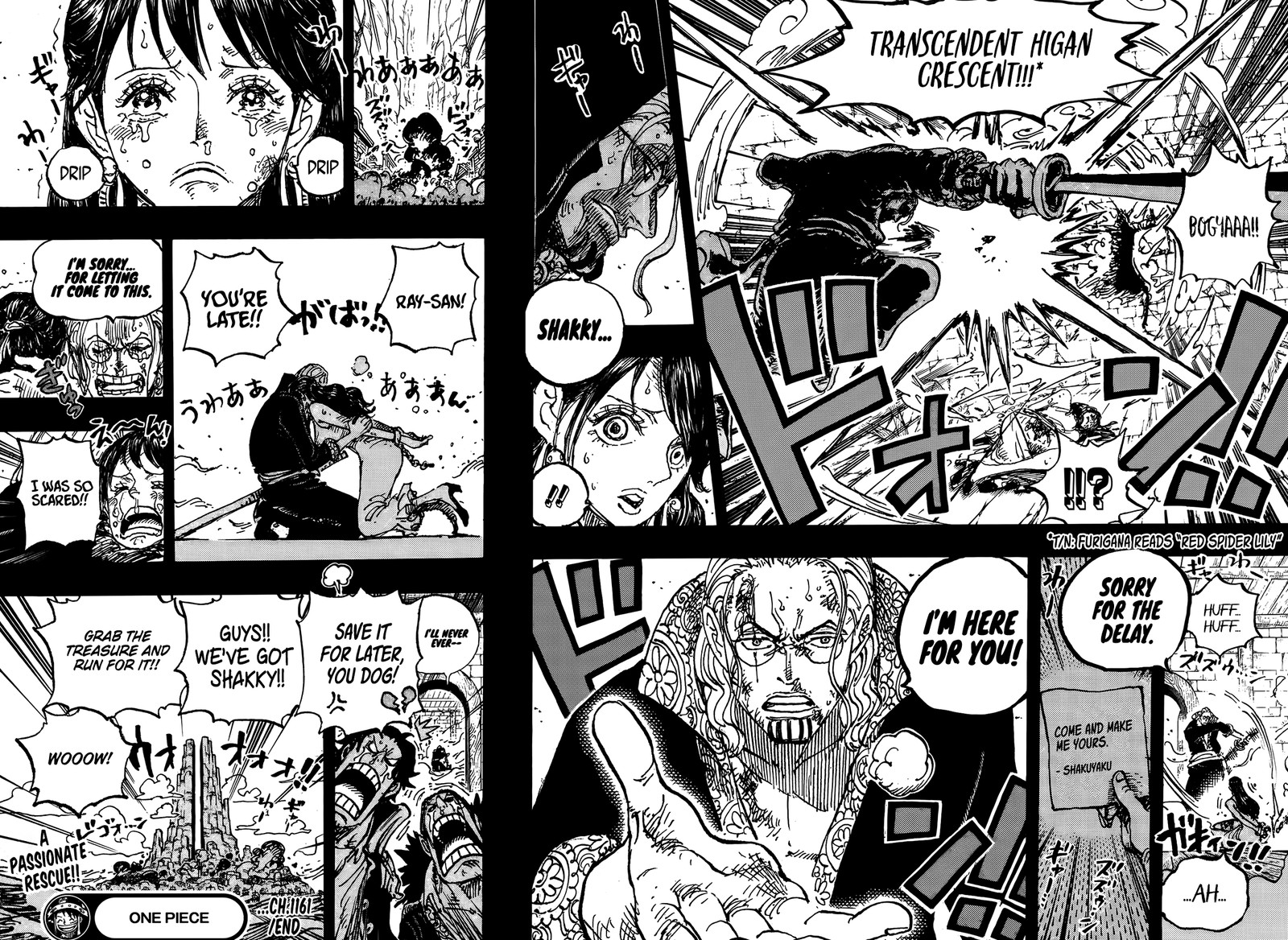 One Piece Chapter 1161 - Page